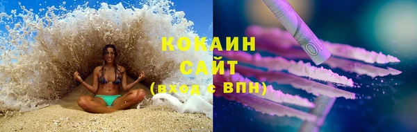 крисы Аркадак