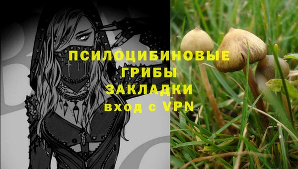 первитин Армянск