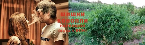 крисы Аркадак