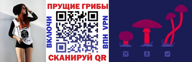 Галлюциногенные грибы Psilocybe  Пестово 